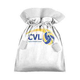 Подарочный 3D мешок с принтом Волейбол 39 в Тюмени, 100% полиэстер | Размер: 29*39 см | Тематика изображения на принте: cvl | volleyball | волейбол