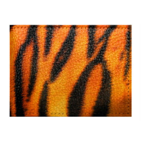 Обложка для студенческого билета с принтом Шкура тигра в Тюмени, натуральная кожа | Размер: 11*8 см; Печать на всей внешней стороне | кошка | полосатая | текстуры | тигр