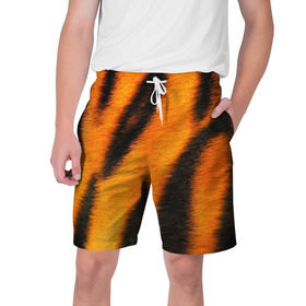 Мужские шорты 3D с принтом Шкура тигра в Тюмени,  полиэстер 100% | прямой крой, два кармана без застежек по бокам. Мягкая трикотажная резинка на поясе, внутри которой широкие завязки. Длина чуть выше колен | кошка | полосатая | текстуры | тигр