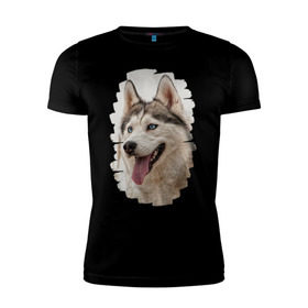 Мужская футболка премиум с принтом Симпотяга волк в Тюмени, 92% хлопок, 8% лайкра | приталенный силуэт, круглый вырез ворота, длина до линии бедра, короткий рукав | зверь | серый | хаски | хаски бандит