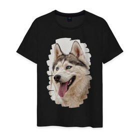 Мужская футболка хлопок с принтом Симпотяга волк в Тюмени, 100% хлопок | прямой крой, круглый вырез горловины, длина до линии бедер, слегка спущенное плечо. | зверь | серый | хаски | хаски бандит