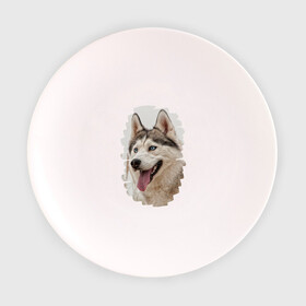 Тарелка с принтом Симпотяга волк в Тюмени, фарфор | диаметр - 210 мм
диаметр для нанесения принта - 120 мм | зверь | серый | хаски | хаски бандит
