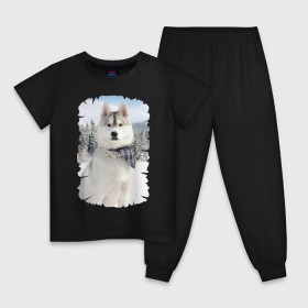 Детская пижама хлопок с принтом Волк в зимнем лесу в Тюмени, 100% хлопок |  брюки и футболка прямого кроя, без карманов, на брюках мягкая резинка на поясе и по низу штанин
 | серый | хаски