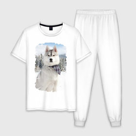 Мужская пижама хлопок с принтом Волк в зимнем лесу в Тюмени, 100% хлопок | брюки и футболка прямого кроя, без карманов, на брюках мягкая резинка на поясе и по низу штанин
 | серый | хаски