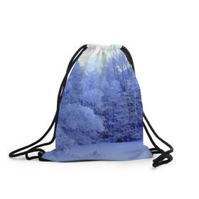 Рюкзак-мешок 3D с принтом Зима в Тюмени, 100% полиэстер | плотность ткани — 200 г/м2, размер — 35 х 45 см; лямки — толстые шнурки, застежка на шнуровке, без карманов и подкладки | деревья | природа | синий | снег | снежный