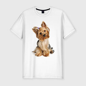 Мужская футболка премиум с принтом Ухоженная собачка в Тюмени, 92% хлопок, 8% лайкра | приталенный силуэт, круглый вырез ворота, длина до линии бедра, короткий рукав | 