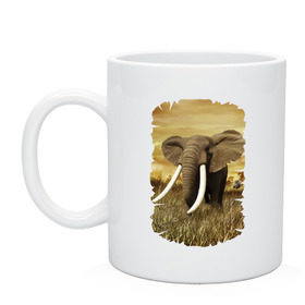 Кружка с принтом Могучий слон в Тюмени, керамика | объем — 330 мл, диаметр — 80 мм. Принт наносится на бока кружки, можно сделать два разных изображения | elephant | африка | бивни | джунгли | мамонт | савана | сафари | слон | хобот