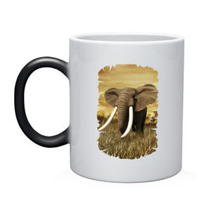 Кружка хамелеон с принтом Могучий слон в Тюмени, керамика | меняет цвет при нагревании, емкость 330 мл | elephant | африка | бивни | джунгли | мамонт | савана | сафари | слон | хобот