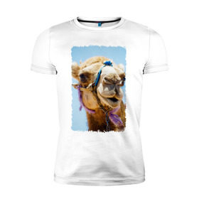 Мужская футболка премиум с принтом Верблюд в Тюмени, 92% хлопок, 8% лайкра | приталенный силуэт, круглый вырез ворота, длина до линии бедра, короткий рукав | верблюд | горб | животное | караван | песок | плевок | пустыня