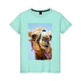 Женская футболка хлопок с принтом Верблюд в Тюмени, 100% хлопок | прямой крой, круглый вырез горловины, длина до линии бедер, слегка спущенное плечо | верблюд | горб | животное | караван | песок | плевок | пустыня