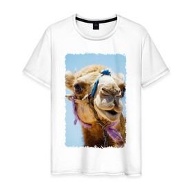 Мужская футболка хлопок с принтом Верблюд в Тюмени, 100% хлопок | прямой крой, круглый вырез горловины, длина до линии бедер, слегка спущенное плечо. | верблюд | горб | животное | караван | песок | плевок | пустыня