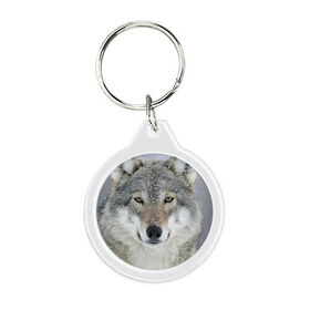 Брелок круглый с принтом Добрый волк в Тюмени, пластик и полированная сталь | круглая форма, металлическое крепление в виде кольца | взгляд | волк | волки | оскал