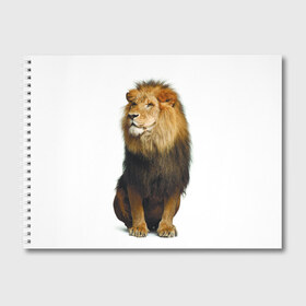 Альбом для рисования с принтом Король джунглей в Тюмени, 100% бумага
 | матовая бумага, плотность 200 мг. | leo | lion | власть | грива | дикая кошка | животное | зверь | клыки | когти | король джунглей | лев | мощь | мудрость | охотник | сила | хитрость | хищник | царь зверей | шерсть