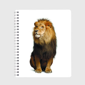 Тетрадь с принтом Король джунглей в Тюмени, 100% бумага | 48 листов, плотность листов — 60 г/м2, плотность картонной обложки — 250 г/м2. Листы скреплены сбоку удобной пружинной спиралью. Уголки страниц и обложки скругленные. Цвет линий — светло-серый
 | leo | lion | власть | грива | дикая кошка | животное | зверь | клыки | когти | король джунглей | лев | мощь | мудрость | охотник | сила | хитрость | хищник | царь зверей | шерсть