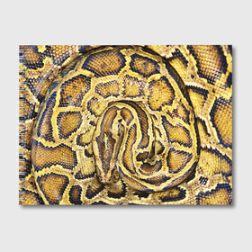 Альбом для рисования с принтом Змея в Тюмени, 100% бумага
 | матовая бумага, плотность 200 мг. | snake | анаконда | гадюка | змеиная | змея | кобра | кожа | кожура | удав | уж | червь | червяк | яд