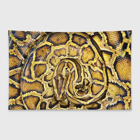 Флаг-баннер с принтом Змея в Тюмени, 100% полиэстер | размер 67 х 109 см, плотность ткани — 95 г/м2; по краям флага есть четыре люверса для крепления | snake | анаконда | гадюка | змеиная | змея | кобра | кожа | кожура | удав | уж | червь | червяк | яд
