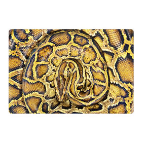 Магнитный плакат 3Х2 с принтом Змея в Тюмени, Полимерный материал с магнитным слоем | 6 деталей размером 9*9 см | snake | анаконда | гадюка | змеиная | змея | кобра | кожа | кожура | удав | уж | червь | червяк | яд