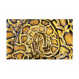 Бумага для упаковки 3D с принтом Змея в Тюмени, пластик и полированная сталь | круглая форма, металлическое крепление в виде кольца | Тематика изображения на принте: snake | анаконда | гадюка | змеиная | змея | кобра | кожа | кожура | удав | уж | червь | червяк | яд