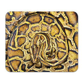 Коврик прямоугольный с принтом Змея в Тюмени, натуральный каучук | размер 230 х 185 мм; запечатка лицевой стороны | Тематика изображения на принте: snake | анаконда | гадюка | змеиная | змея | кобра | кожа | кожура | удав | уж | червь | червяк | яд