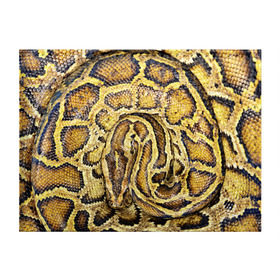 Обложка для студенческого билета с принтом Змея в Тюмени, натуральная кожа | Размер: 11*8 см; Печать на всей внешней стороне | Тематика изображения на принте: snake | анаконда | гадюка | змеиная | змея | кобра | кожа | кожура | удав | уж | червь | червяк | яд