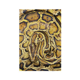 Обложка для паспорта матовая кожа с принтом Змея в Тюмени, натуральная матовая кожа | размер 19,3 х 13,7 см; прозрачные пластиковые крепления | snake | анаконда | гадюка | змеиная | змея | кобра | кожа | кожура | удав | уж | червь | червяк | яд