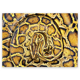 Поздравительная открытка с принтом Змея в Тюмени, 100% бумага | плотность бумаги 280 г/м2, матовая, на обратной стороне линовка и место для марки
 | snake | анаконда | гадюка | змеиная | змея | кобра | кожа | кожура | удав | уж | червь | червяк | яд