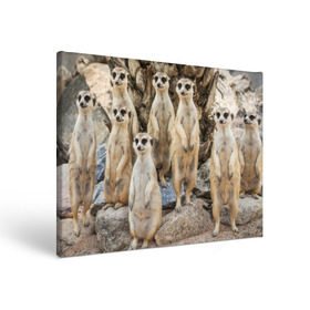 Холст прямоугольный с принтом Сурикаты в Тюмени, 100% ПВХ |  | Тематика изображения на принте: животное | зверёк | калахари | мангуст | млекопитающее | сурикат | южная африка