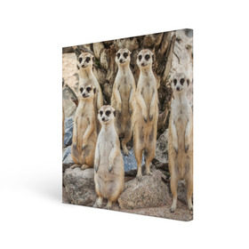 Холст квадратный с принтом Сурикаты в Тюмени, 100% ПВХ |  | животное | зверёк | калахари | мангуст | млекопитающее | сурикат | южная африка