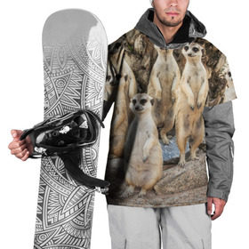 Накидка на куртку 3D с принтом Сурикаты в Тюмени, 100% полиэстер |  | животное | зверёк | калахари | мангуст | млекопитающее | сурикат | южная африка