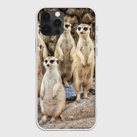 Чехол для iPhone 12 Pro Max с принтом Сурикаты в Тюмени, Силикон |  | Тематика изображения на принте: животное | зверёк | калахари | мангуст | млекопитающее | сурикат | южная африка