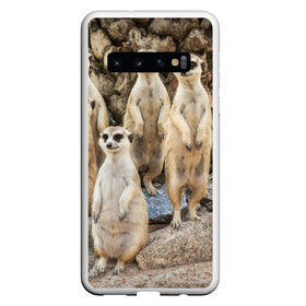 Чехол для Samsung Galaxy S10 с принтом Сурикаты в Тюмени, Силикон | Область печати: задняя сторона чехла, без боковых панелей | животное | зверёк | калахари | мангуст | млекопитающее | сурикат | южная африка