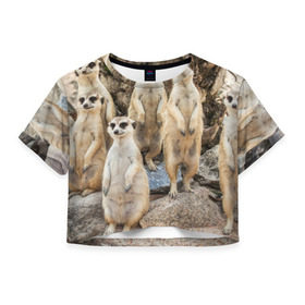 Женская футболка 3D укороченная с принтом Сурикаты в Тюмени, 100% полиэстер | круглая горловина, длина футболки до линии талии, рукава с отворотами | животное | зверёк | калахари | мангуст | млекопитающее | сурикат | южная африка