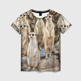 Женская футболка 3D с принтом Сурикаты в Тюмени, 100% полиэфир ( синтетическое хлопкоподобное полотно) | прямой крой, круглый вырез горловины, длина до линии бедер | животное | зверёк | калахари | мангуст | млекопитающее | сурикат | южная африка
