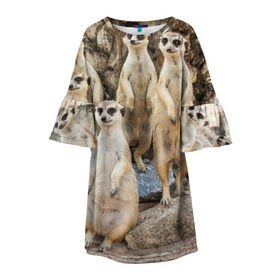 Детское платье 3D с принтом Сурикаты в Тюмени, 100% полиэстер | прямой силуэт, чуть расширенный к низу. Круглая горловина, на рукавах — воланы | животное | зверёк | калахари | мангуст | млекопитающее | сурикат | южная африка