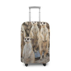Чехол для чемодана 3D с принтом Сурикаты в Тюмени, 86% полиэфир, 14% спандекс | двустороннее нанесение принта, прорези для ручек и колес | животное | зверёк | калахари | мангуст | млекопитающее | сурикат | южная африка