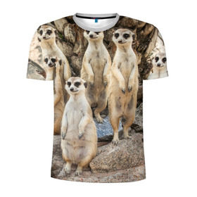 Мужская футболка 3D спортивная с принтом Сурикаты в Тюмени, 100% полиэстер с улучшенными характеристиками | приталенный силуэт, круглая горловина, широкие плечи, сужается к линии бедра | животное | зверёк | калахари | мангуст | млекопитающее | сурикат | южная африка