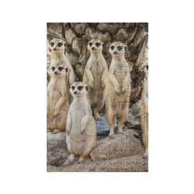 Обложка для паспорта матовая кожа с принтом Сурикаты в Тюмени, натуральная матовая кожа | размер 19,3 х 13,7 см; прозрачные пластиковые крепления | животное | зверёк | калахари | мангуст | млекопитающее | сурикат | южная африка