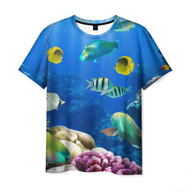 Мужская футболка 3D с принтом Дайвинг в Тюмени, 100% полиэфир | прямой крой, круглый вырез горловины, длина до линии бедер | дайвинг | египет | каникулы | коралловый риф | крабы | красное море | море | морские обитатели | океан | отдых | отпуск | подводные красоты | приключение | рыбки | рыбы | туризм