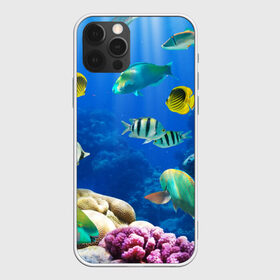 Чехол для iPhone 12 Pro Max с принтом Дайвинг в Тюмени, Силикон |  | дайвинг | египет | каникулы | коралловый риф | крабы | красное море | море | морские обитатели | океан | отдых | отпуск | подводные красоты | приключение | рыбки | рыбы | туризм