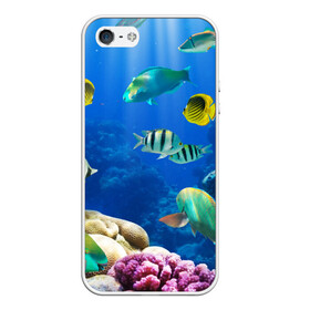 Чехол для iPhone 5/5S матовый с принтом Дайвинг в Тюмени, Силикон | Область печати: задняя сторона чехла, без боковых панелей | дайвинг | египет | каникулы | коралловый риф | крабы | красное море | море | морские обитатели | океан | отдых | отпуск | подводные красоты | приключение | рыбки | рыбы | туризм