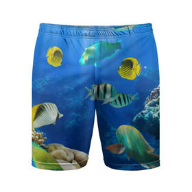 Мужские шорты 3D спортивные с принтом Дайвинг в Тюмени,  |  | дайвинг | египет | каникулы | коралловый риф | крабы | красное море | море | морские обитатели | океан | отдых | отпуск | подводные красоты | приключение | рыбки | рыбы | туризм