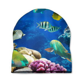 Шапка 3D с принтом Дайвинг в Тюмени, 100% полиэстер | универсальный размер, печать по всей поверхности изделия | дайвинг | египет | каникулы | коралловый риф | крабы | красное море | море | морские обитатели | океан | отдых | отпуск | подводные красоты | приключение | рыбки | рыбы | туризм