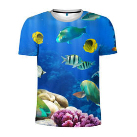 Мужская футболка 3D спортивная с принтом Дайвинг в Тюмени, 100% полиэстер с улучшенными характеристиками | приталенный силуэт, круглая горловина, широкие плечи, сужается к линии бедра | дайвинг | египет | каникулы | коралловый риф | крабы | красное море | море | морские обитатели | океан | отдых | отпуск | подводные красоты | приключение | рыбки | рыбы | туризм