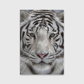 Обложка для паспорта матовая кожа с принтом Бенгальский тигр в Тюмени, натуральная матовая кожа | размер 19,3 х 13,7 см; прозрачные пластиковые крепления | tiger | белый | дикая кошка | тигр | хищник