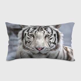 Подушка 3D антистресс с принтом Бенгальский тигр в Тюмени, наволочка — 100% полиэстер, наполнитель — вспененный полистирол | состоит из подушки и наволочки на молнии | Тематика изображения на принте: tiger | белый | дикая кошка | тигр | хищник