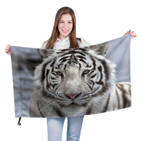 Флаг 3D с принтом Бенгальский тигр в Тюмени, 100% полиэстер | плотность ткани — 95 г/м2, размер — 67 х 109 см. Принт наносится с одной стороны | Тематика изображения на принте: tiger | белый | дикая кошка | тигр | хищник