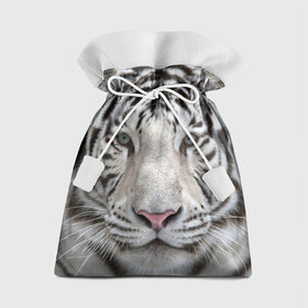 Подарочный 3D мешок с принтом Бенгальский тигр в Тюмени, 100% полиэстер | Размер: 29*39 см | tiger | белый | дикая кошка | тигр | хищник