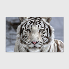 Бумага для упаковки 3D с принтом Бенгальский тигр в Тюмени, пластик и полированная сталь | круглая форма, металлическое крепление в виде кольца | Тематика изображения на принте: tiger | белый | дикая кошка | тигр | хищник
