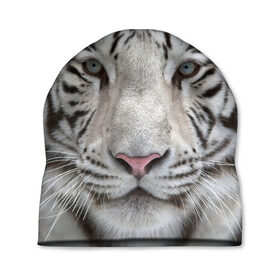 Шапка 3D с принтом Бенгальский тигр в Тюмени, 100% полиэстер | универсальный размер, печать по всей поверхности изделия | Тематика изображения на принте: tiger | белый | дикая кошка | тигр | хищник
