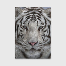 Обложка для автодокументов с принтом Бенгальский тигр в Тюмени, натуральная кожа |  размер 19,9*13 см; внутри 4 больших “конверта” для документов и один маленький отдел — туда идеально встанут права | tiger | белый | дикая кошка | тигр | хищник